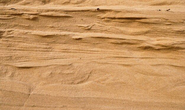 자연 사암 질감 배경 벽은 여름 디자인 또는 배경을 위해 모래 언덕 또는 모래 모래 배경에서 잘립니다.