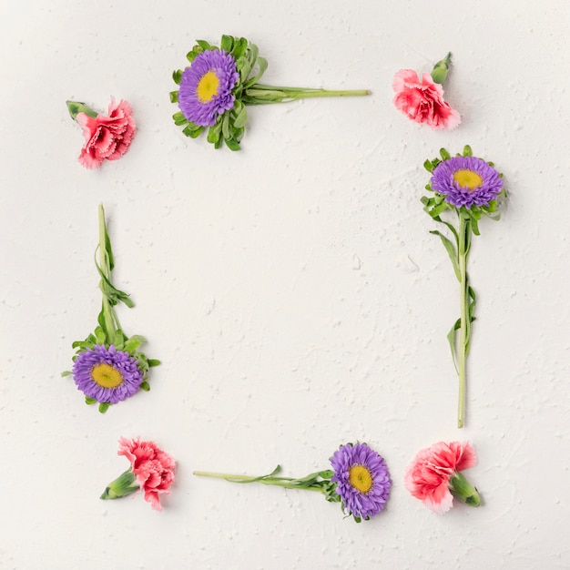 Free photo natural violet and carnation flowers frame