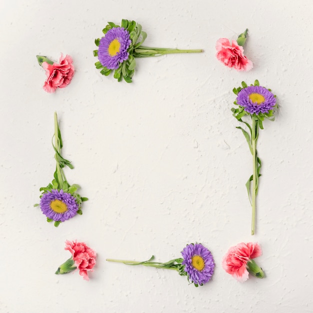 Natural violet and carnation flowers frame