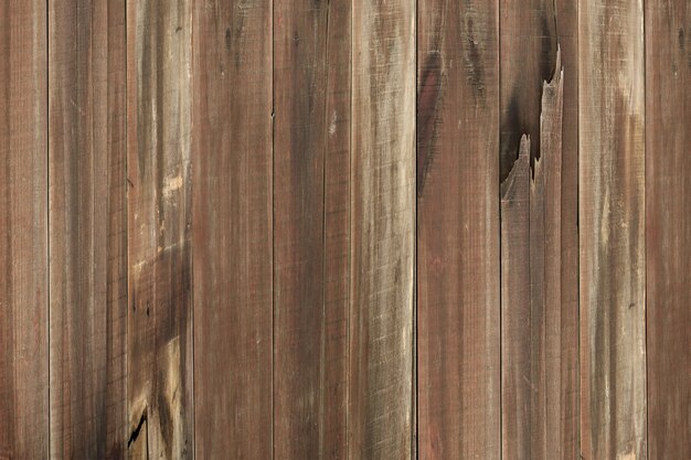 Natural wood texture