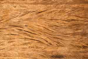 Free photo natural wooden textured background.