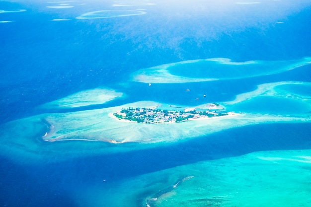 Natura atollo tropicale costa scogliera