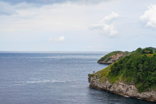 nature background, blue ocean, wave runs on the shore, cliff edge with lush green tropical vegetation