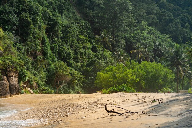 nature background, blue ocean, wave runs on the shore, cliff edge with lush green tropical vegetation