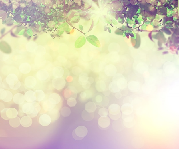 Free photo nature background with bokeh effect