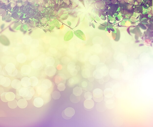 Nature background with bokeh effect