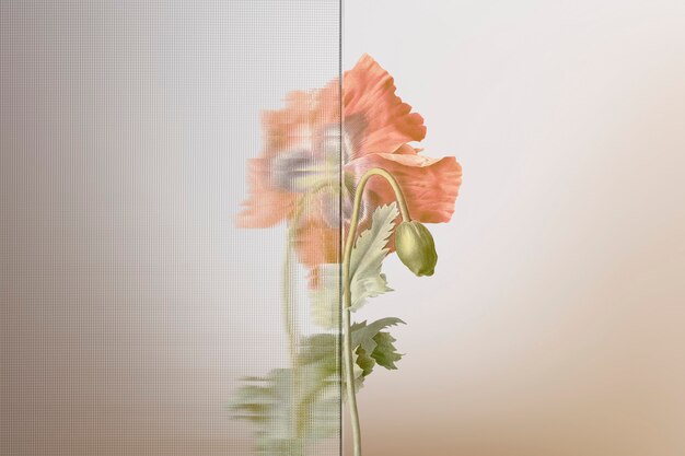 Nature background with flower behind patterned glass