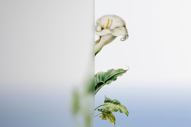 Foto gratuita sfondo della natura con fiore dietro un vetro modellato