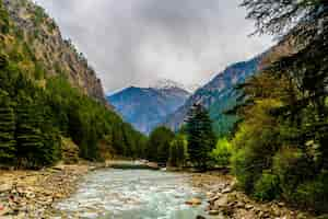 Foto gratuita natura del sentiero chalal trek, sosan, india