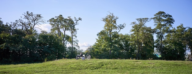 Nature and landscape beautiful sunny day in park woman sitting on bench and using her laptop working