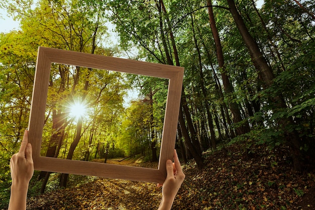 Nature landscape with hand holding frame