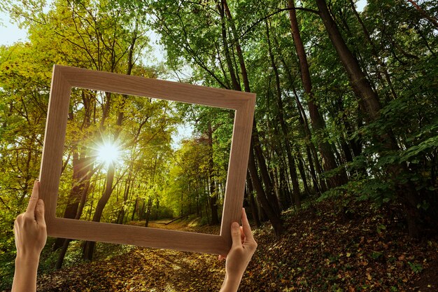 Nature landscape with hand holding frame