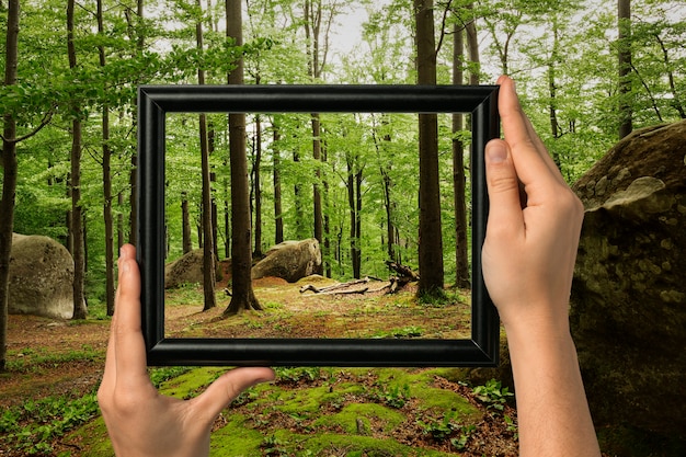 Nature landscape with hand holding frame