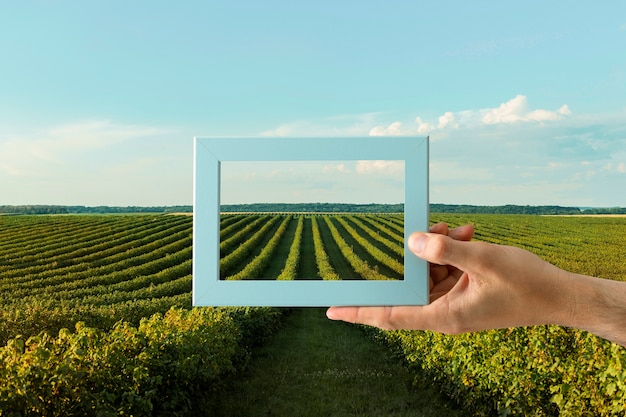 Foto gratuita paesaggio naturale con cornice per mano