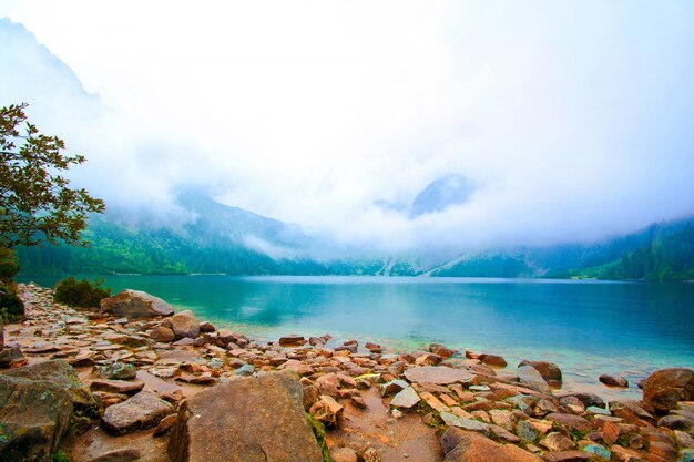 Nature in mountains.