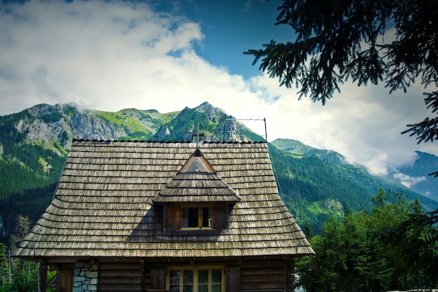 Natura in montagna.