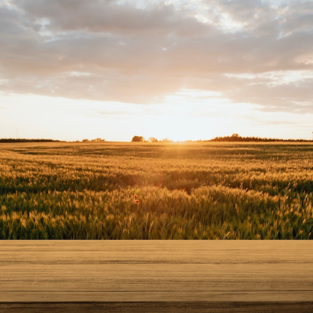 Free photo nature product backdrop, farm and sunlight