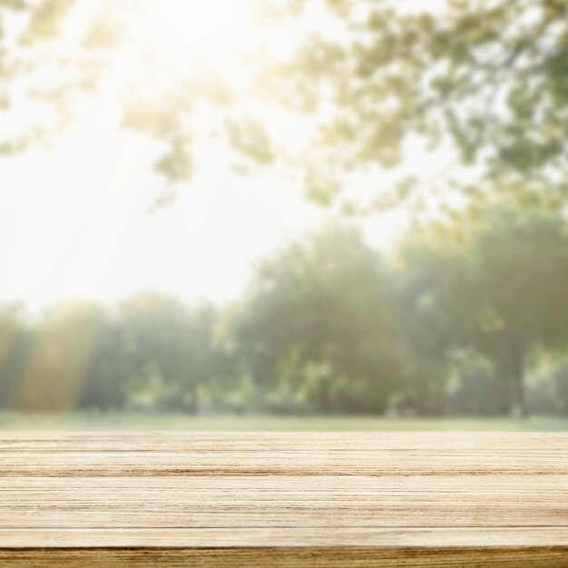 Nature product backdrop, green trees and sunlight