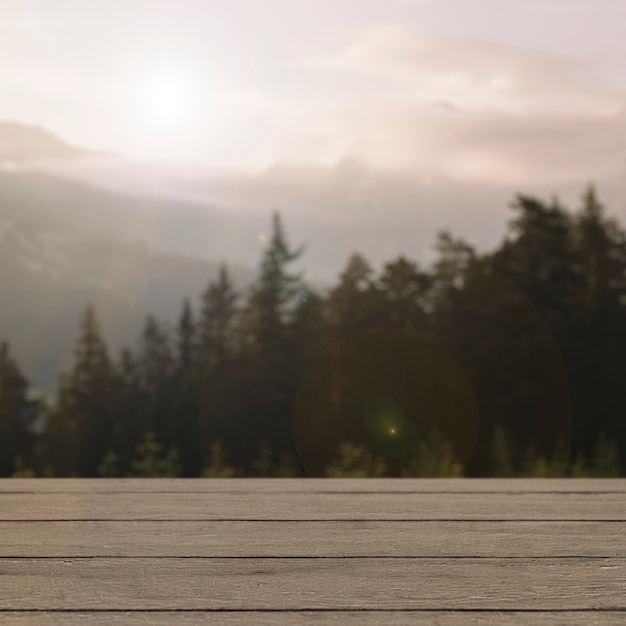 Nature product backdrop, pine tree and mountain