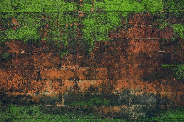 緑と自然のテクスチャ石の壁