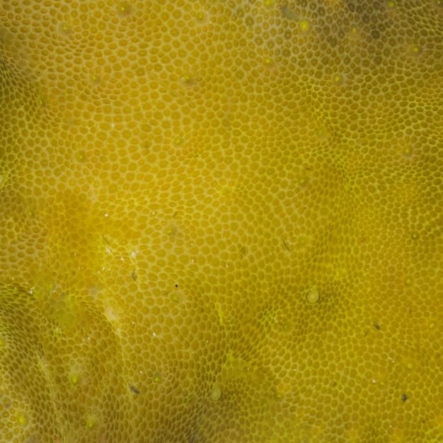 Природа желтой текстуры поверхности