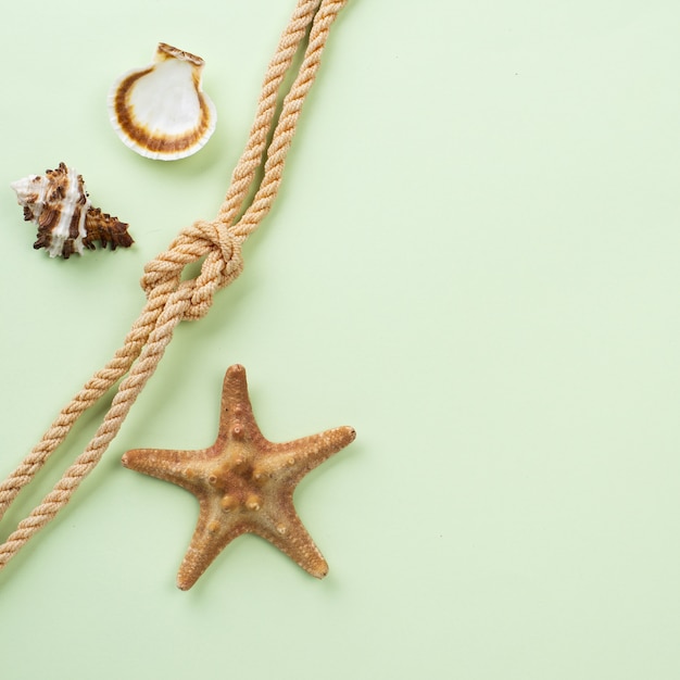 Free photo nautical rope with starfish