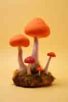 Free photo needle felted mushrooms arrangement