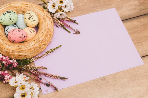 Nest and flowers near paper