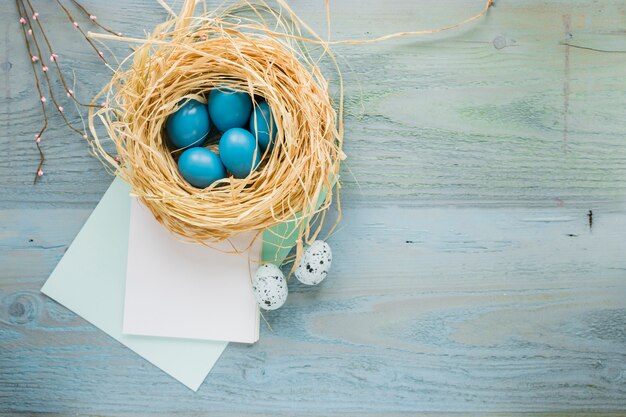 Nest with eggs near paper