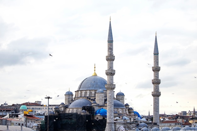 トルコ、周囲に住宅が建ち、鳥が飛んでいる曇りのイスタンブールのニューモスク