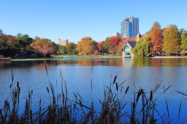 Free photo new york city central park autumn