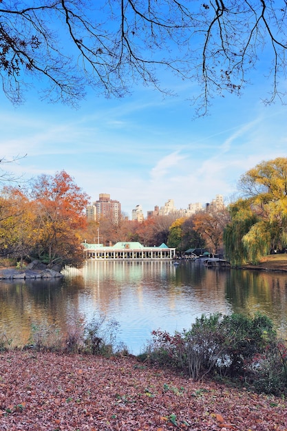 Free photo new york city central park in autumn