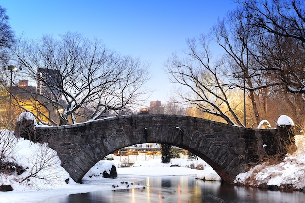 冬のニューヨーク市セントラルパーク橋