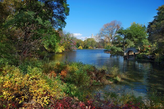 ニューヨーク市中央公園