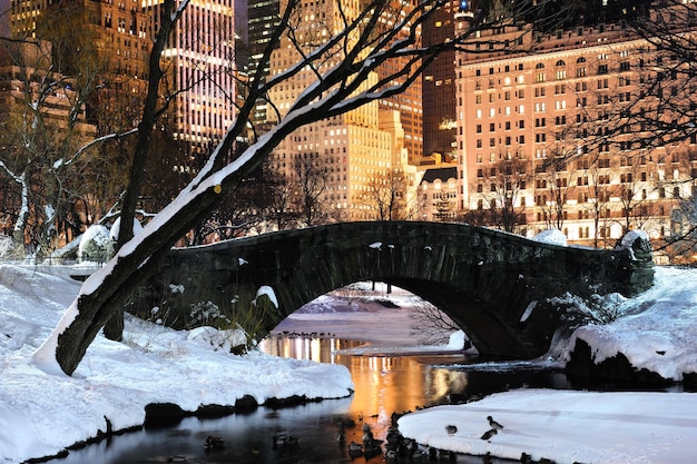 New York City Manhattan Central Park panorama at dusk