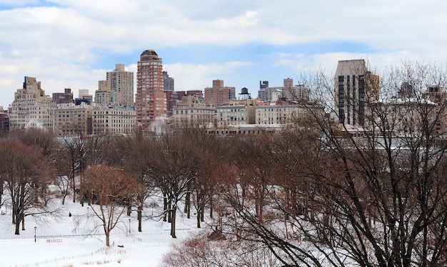 Foto gratuita panorama di new york city manhattan central park in inverno