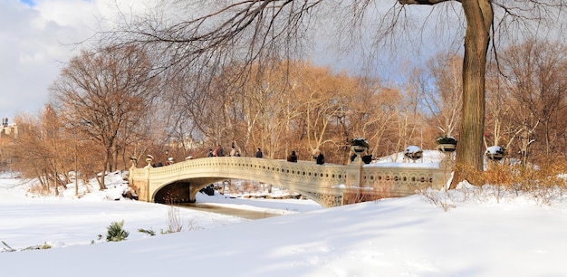 Панорама Центрального парка Нью-Йорка на Манхэттене зимой