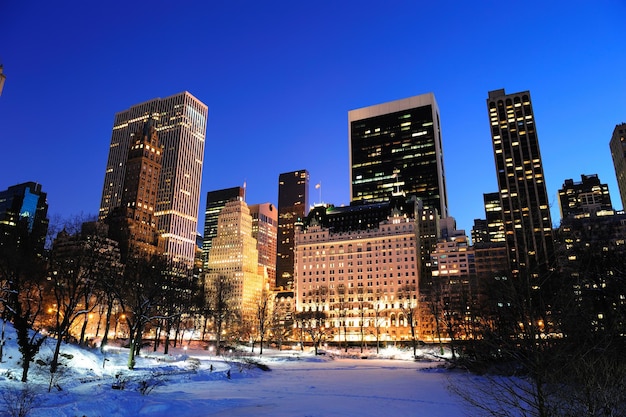 Foto gratuita panorama di new york city manhattan central park in inverno