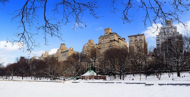 Панорама Центрального парка Нью-Йорка на Манхэттене зимой