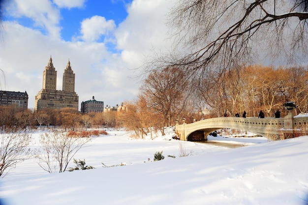 Free photo new york city manhattan central park panorama in winter