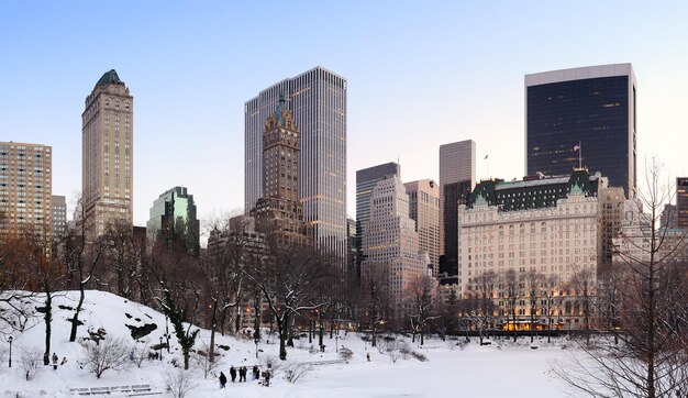 Панорама Центрального парка Нью-Йорка на Манхэттене