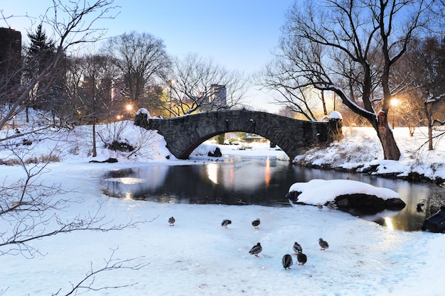 Центральный парк Нью-Йорка Манхэттен зимой с мостом.