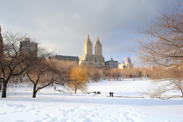 Центральный парк Манхэттена в Нью-Йорке зимой
