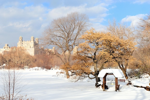 Центральный парк Манхэттена в Нью-Йорке зимой