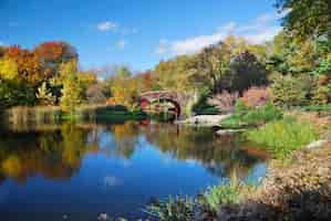 Foto gratuita parco centrale di manhattan di new york city