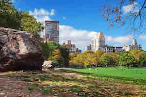 Free photo new york city manhattan central park