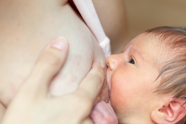 Newborn baby sucks breast