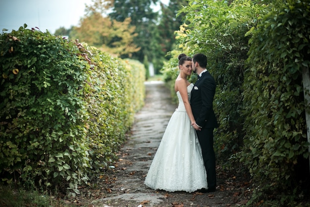 Newlyweds posing between bushes