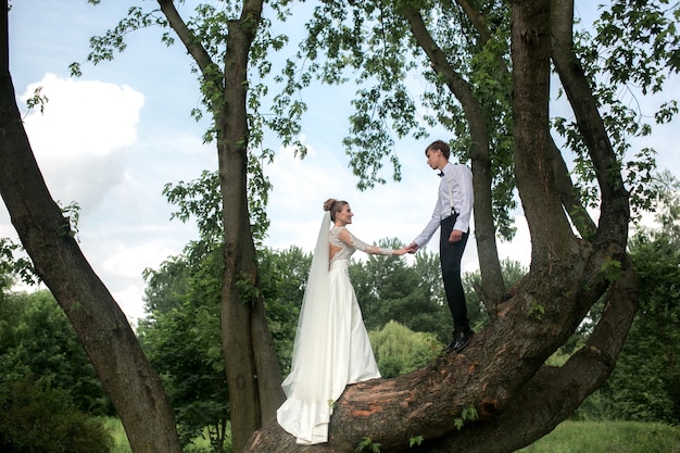 Foto gratuita sposi in posa su un albero