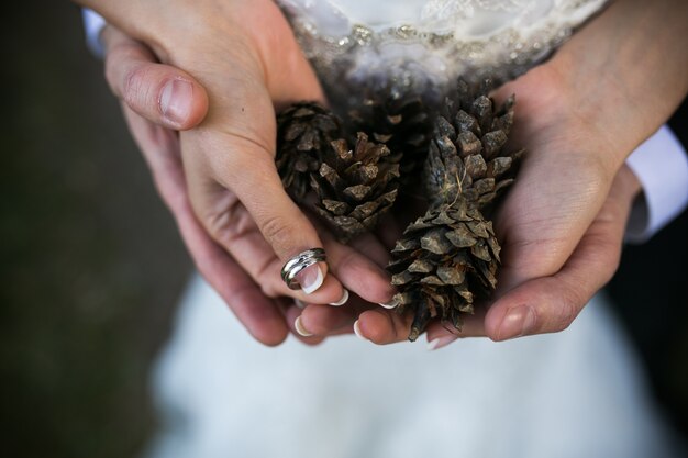 Newlyweds with wedding rings and pinecones